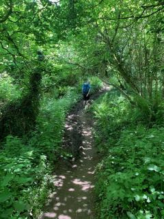 In the woods above Peppercombe - most of the mud had receded, but this would have been nasty a couple of weeks before our visit